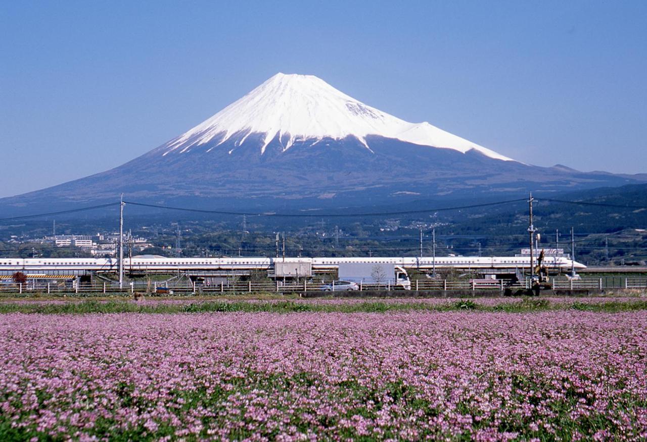 Business Hotel Sunpu Shizuoka Extérieur photo